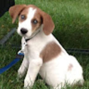 Meet your Posher, Ellen